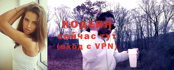 хмурый Нязепетровск