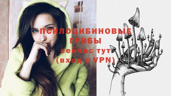 хмурый Нязепетровск