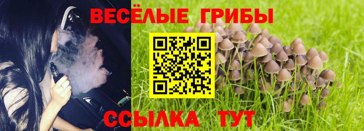 Псилоцибиновые грибы Cubensis  Вход с VPN  Светлоград 