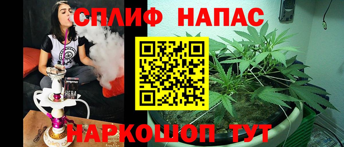 Каннабис MAZAR Светлоград